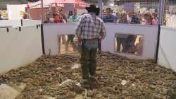 Old Friends Meme Template