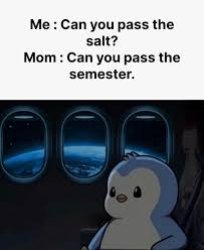 Can you pass the salt/can you pass the semester Meme Template