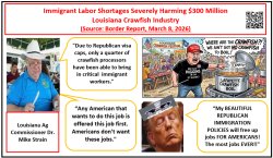 Republican Immigration Policies Harming Louisiana Meme Template