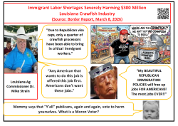Republican Immigration Policies Harming Louisiana Meme Template