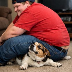 a big boy sitting on a little dog and dog is looking up with hop Meme Template