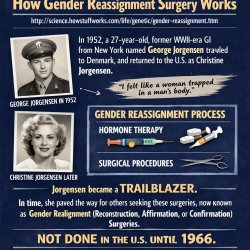 Query#322.02, IMAGE#Q, 2026, 03-17, 1546hrs Meme Template