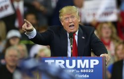 Orange buffoon Meme Template