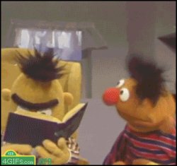 Bert reading Meme Template