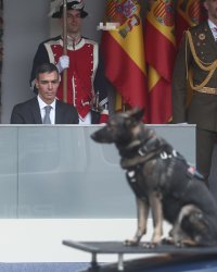 Saunas Adan Meme Template