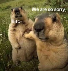 Two friends Meme Template