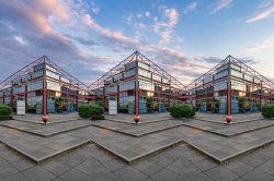 Three Points Meme Template