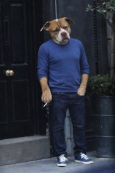 Sad dog Meme Template