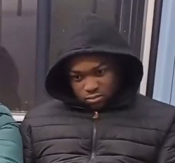 this is why we can't have nice things Meme Template