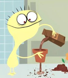 Cheese Meme Template