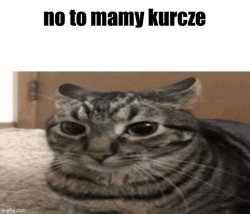 No to mamy kurcze Meme Template