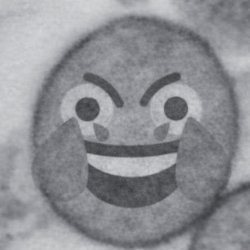 Laughing Mycoplasma Meme Template