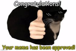 Meme Approved Meme Template