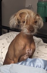 Tony Stark-Naked Meme Template