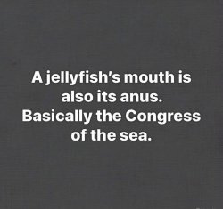 Today’s Congress! Meme Template