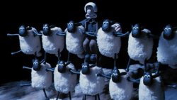 Get Yourselves Organized Down There! Meme Template