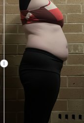 Chubby porker Meme Template