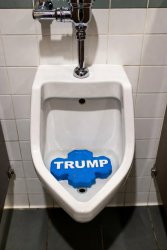 Trump urinal cake Meme Template