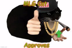 MLG Cat Meme Template