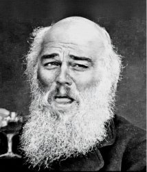 Darwin Di Caprio Meme Template