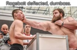 Ragebait deflected, dumbass Meme Template