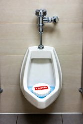 Trump urinal cake Meme Template