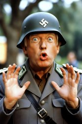 Donald Trump Sgt. Shultz Nothing Meme Template