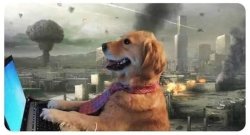 Dog WW3 Meme Template