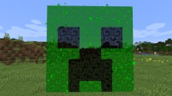 20w14infinite BUDDY Meme Template