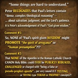 QUERY#326, IMAGE#3, 2026, 03-20, 0935hrs Meme Template