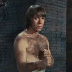 Chuck Norris Meme Template