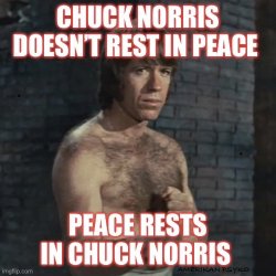 Chuck Norris Meme Template
