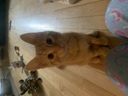 When your mom takes a photo of you when ur a baby Meme Template