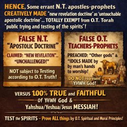 QUERY#296, IMAGE#05, 2026, 03-20, 1955hrs Meme Template