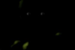Springtrap stare Meme Template