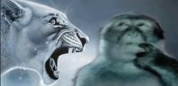 Angry Lion And Silly Monkey Meme Template