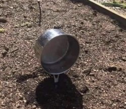 Chrisjoines1 Meme Template