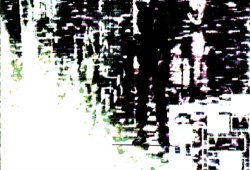 Springtrap hallway Meme Template