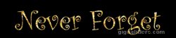 Never forget Meme Template