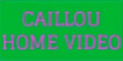 Caillou Home Video Logo (1987-2000) Meme Template