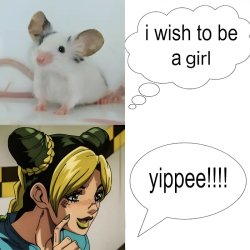 I wish if... Meme Template