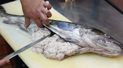 cod sperm Meme Template