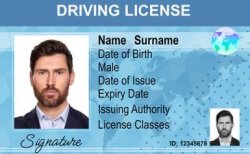 Dummy licese template Meme Template