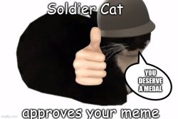 Soldier Cat Approves your meme Meme Template