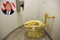 Trump golden toilet Meme Template