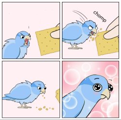 Bird Cracker Meme Generator (friendly) Meme Template