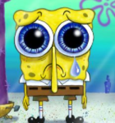 Spongebob Meme Template