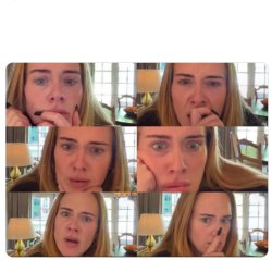 adele expressions Meme Template