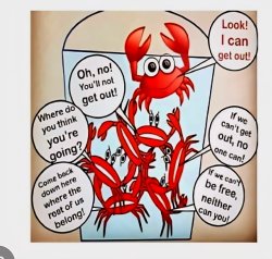 Monogamy affirmers Meme Template