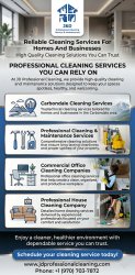 Carbondale Cleaning Services Meme Template